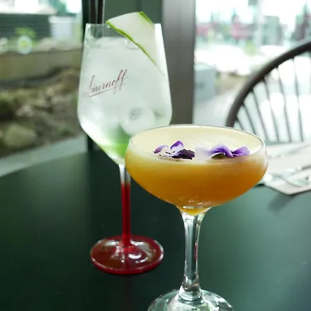 The Gibson Dublin